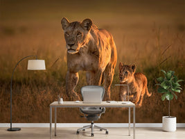 photo-wallpaper-mom-lioness-with-cub-x