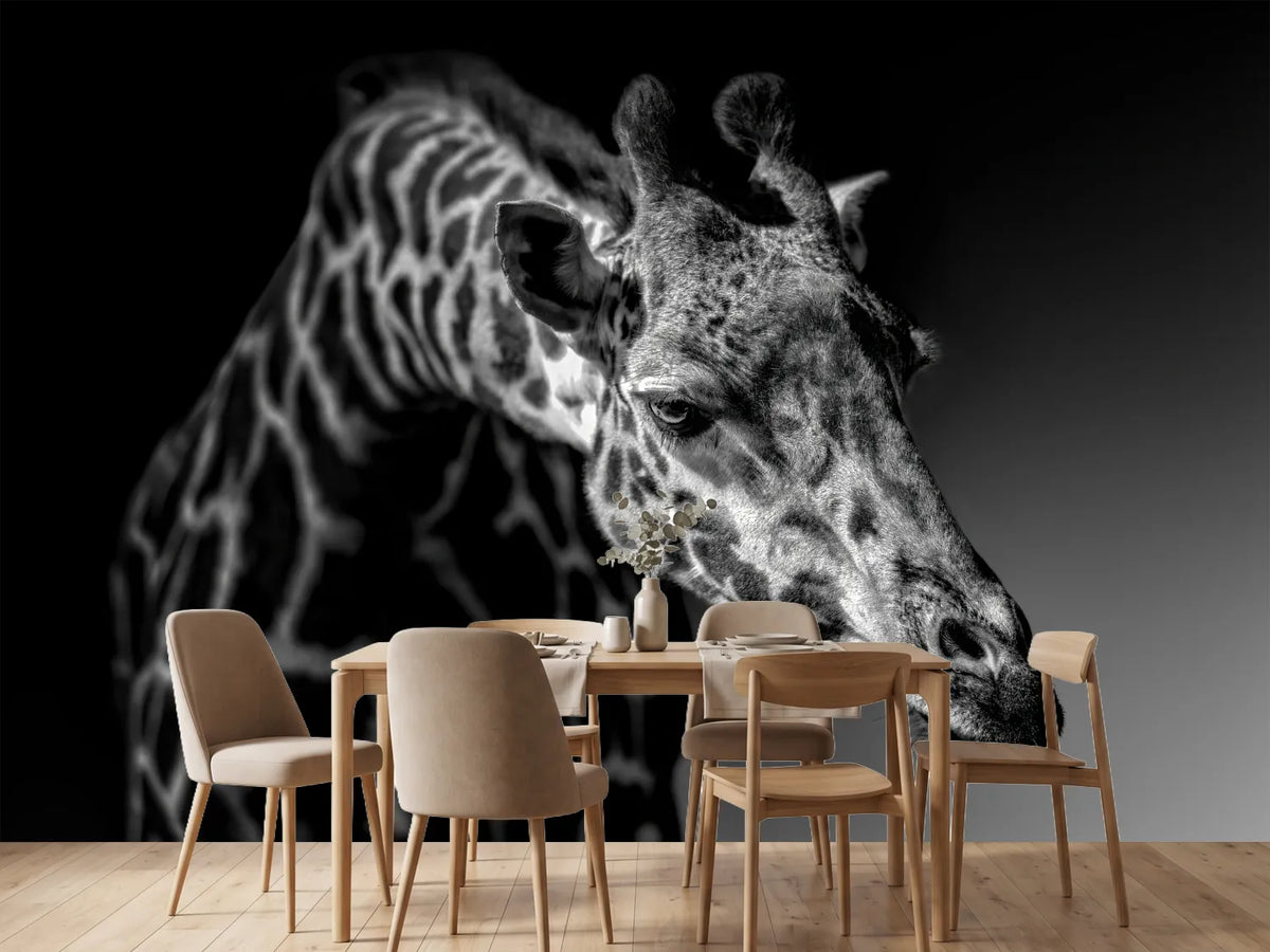 photo-wallpaper-giraffe-x