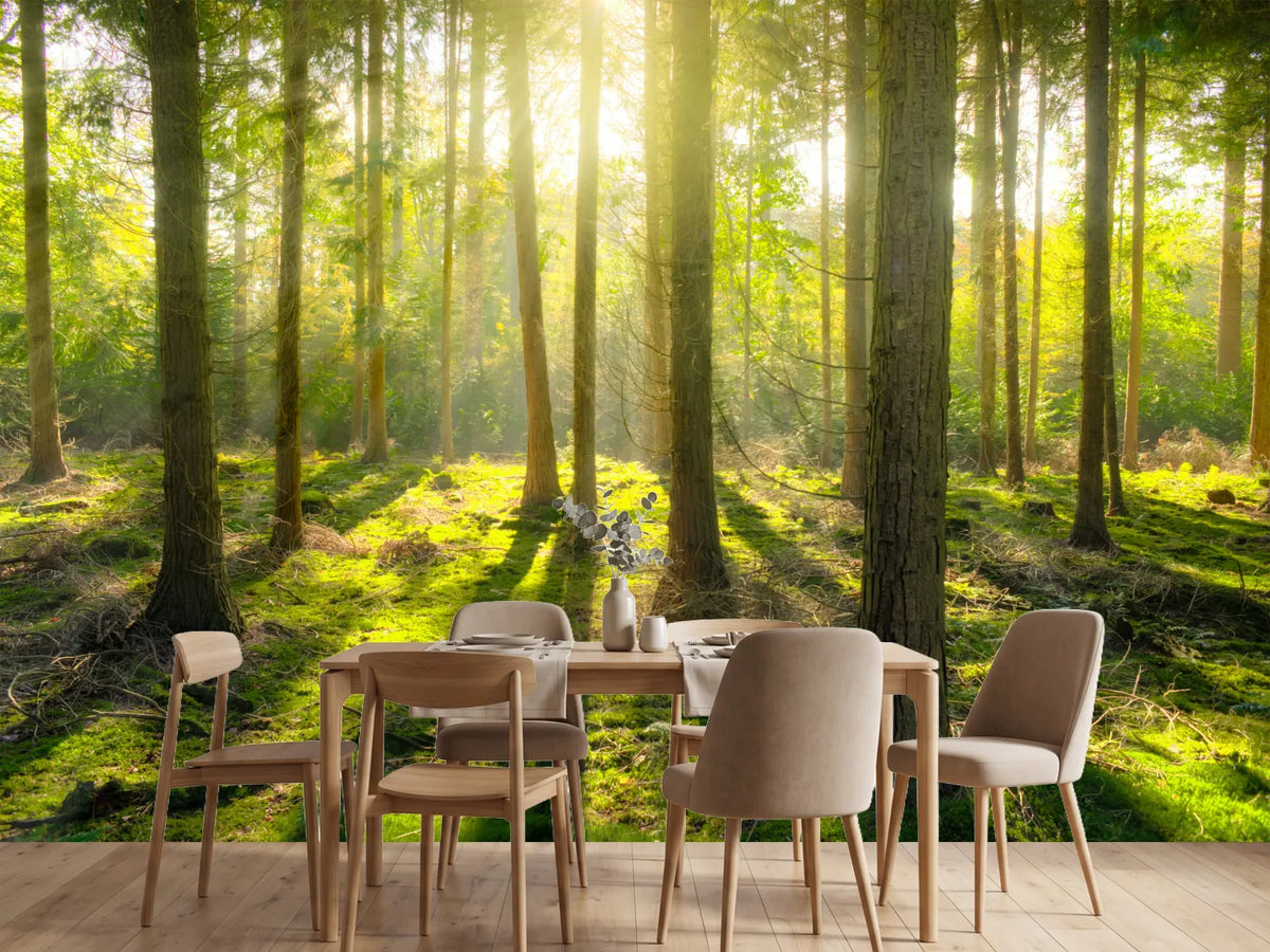 photo-wallpaper-in-the-middle-of-the-woods