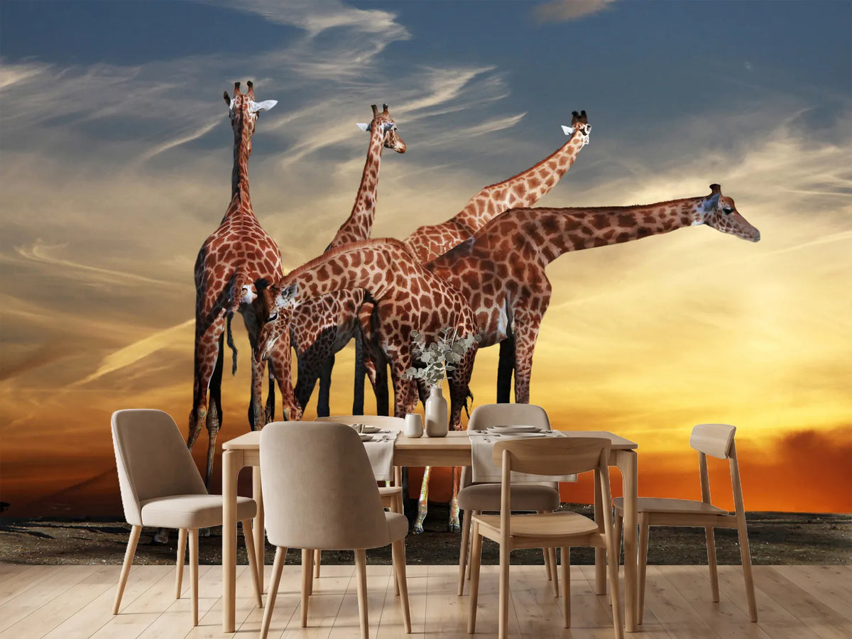 photo-wallpaper-girafe-at-sunset