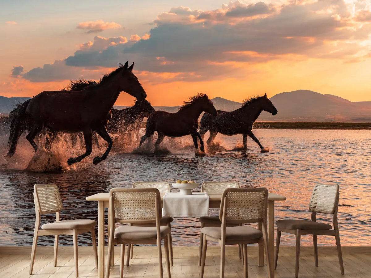 photo-wallpaper-water-horses-x