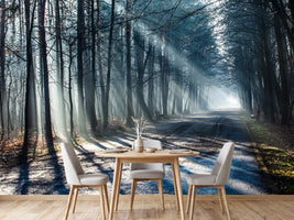 photo-wallpaper-forest-in-the-light-beam