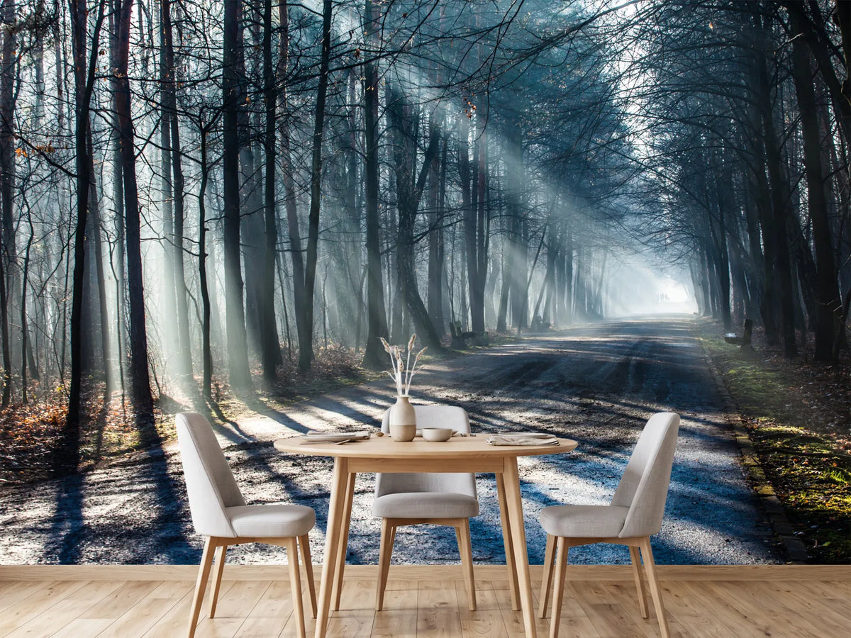 photo-wallpaper-forest-in-the-light-beam