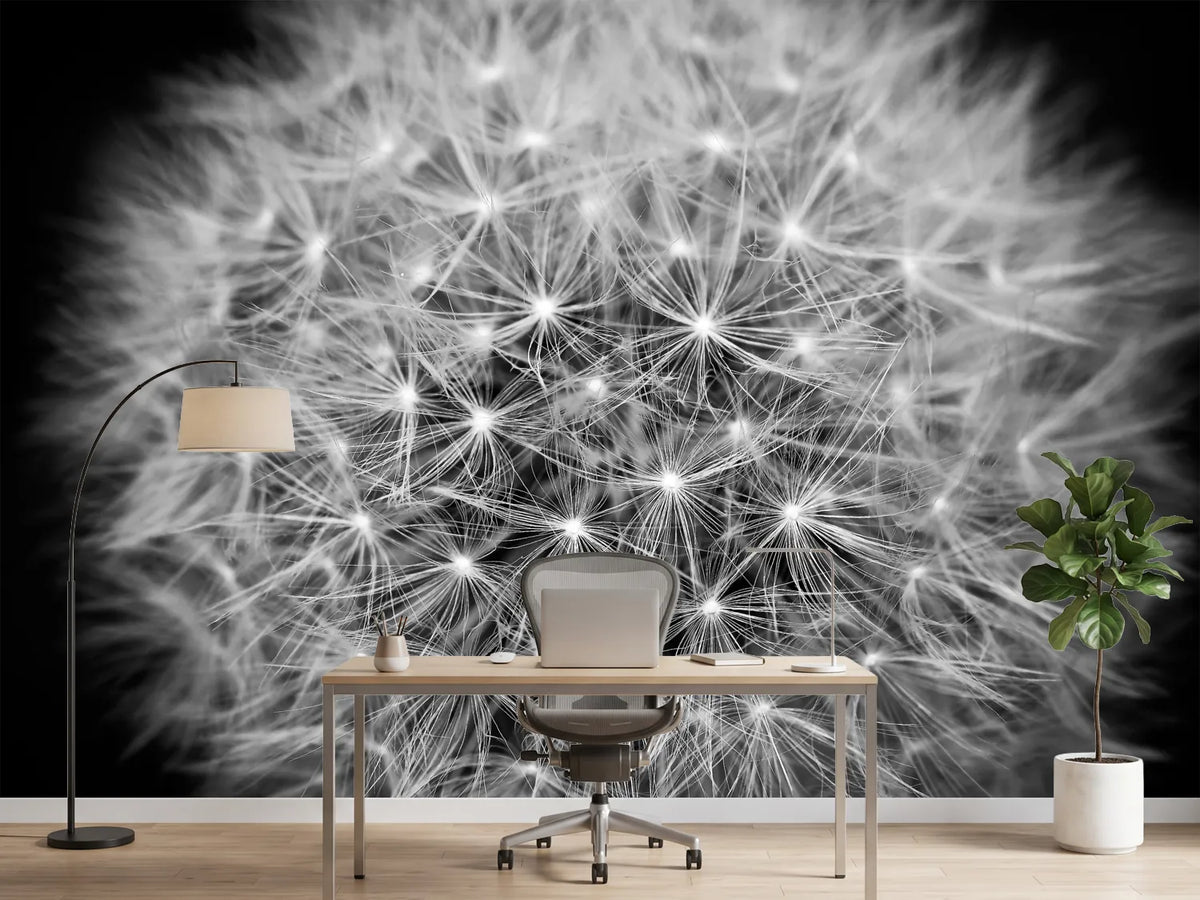 photo-wallpaper-dandelion-in-xxl