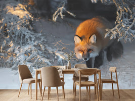 photo-wallpaper-red-fox-xxr