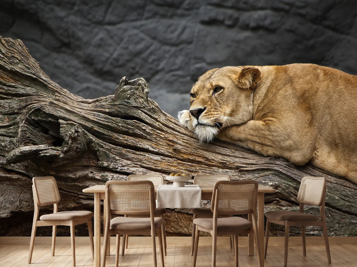 photo-wallpaper-dreaming-lioness