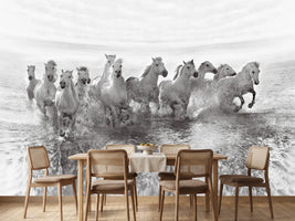 photo-wallpaper-illusion-of-power