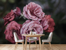 photo-wallpaper-romantic-roses