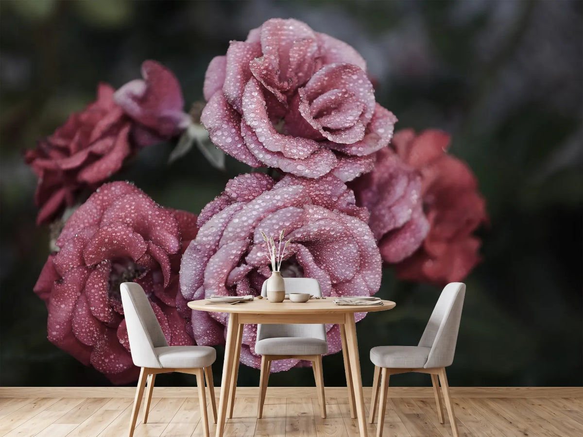 photo-wallpaper-romantic-roses