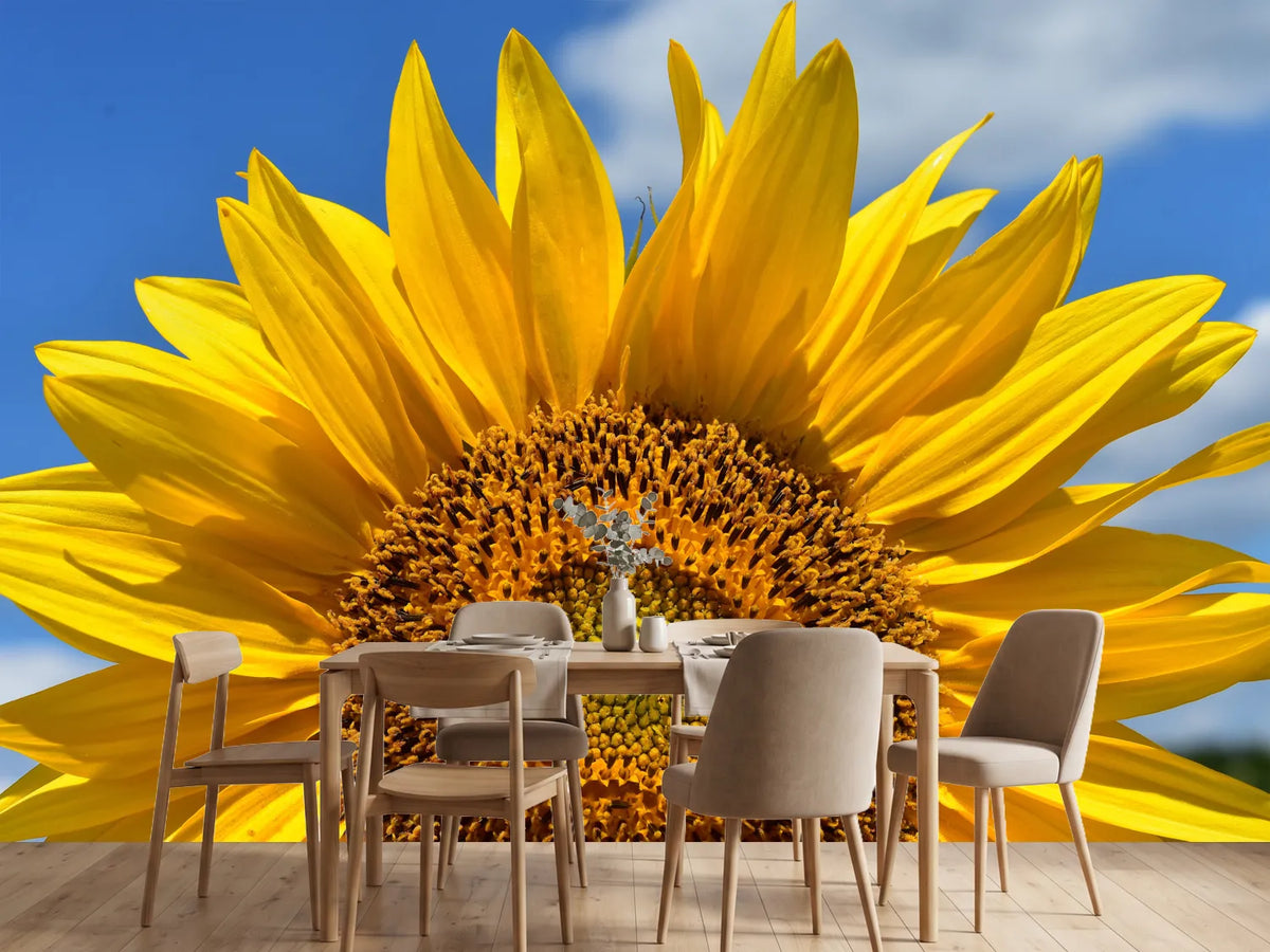 photo-wallpaper-sunflower-in-xxl