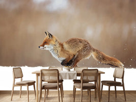 photo-wallpaper-red-fox-xmv