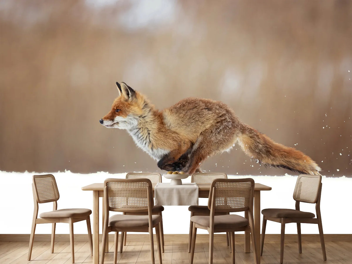 photo-wallpaper-red-fox-xmv