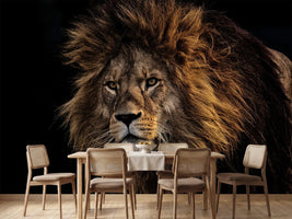 photo-wallpaper-portrait-of-a-lion