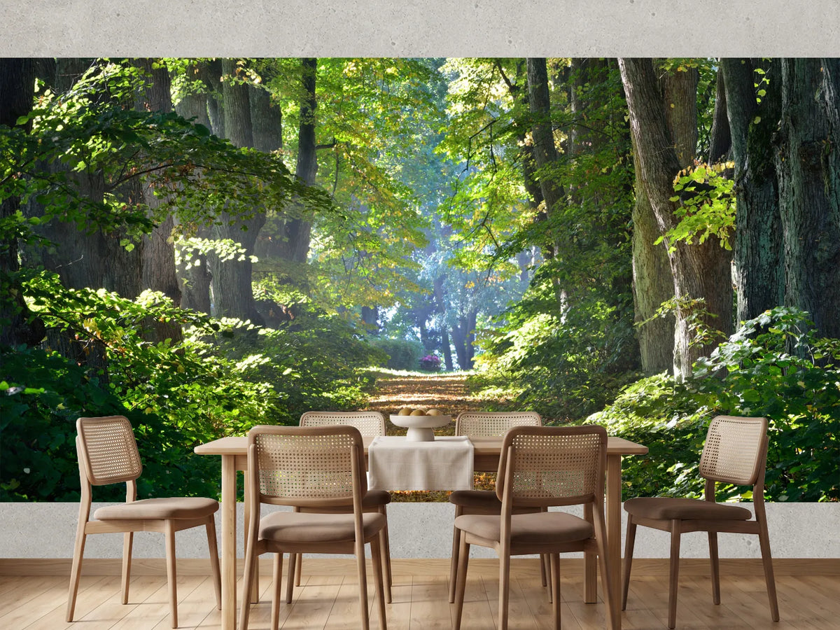 photo-wallpaper-road-in-a-beautiful-forest-in-the-morning