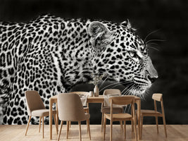 photo-wallpaper-leopard-close-up-x