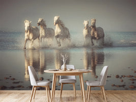 photo-wallpaper-camargue-horses-x
