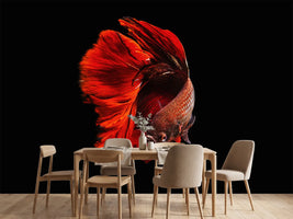 photo-wallpaper-the-red