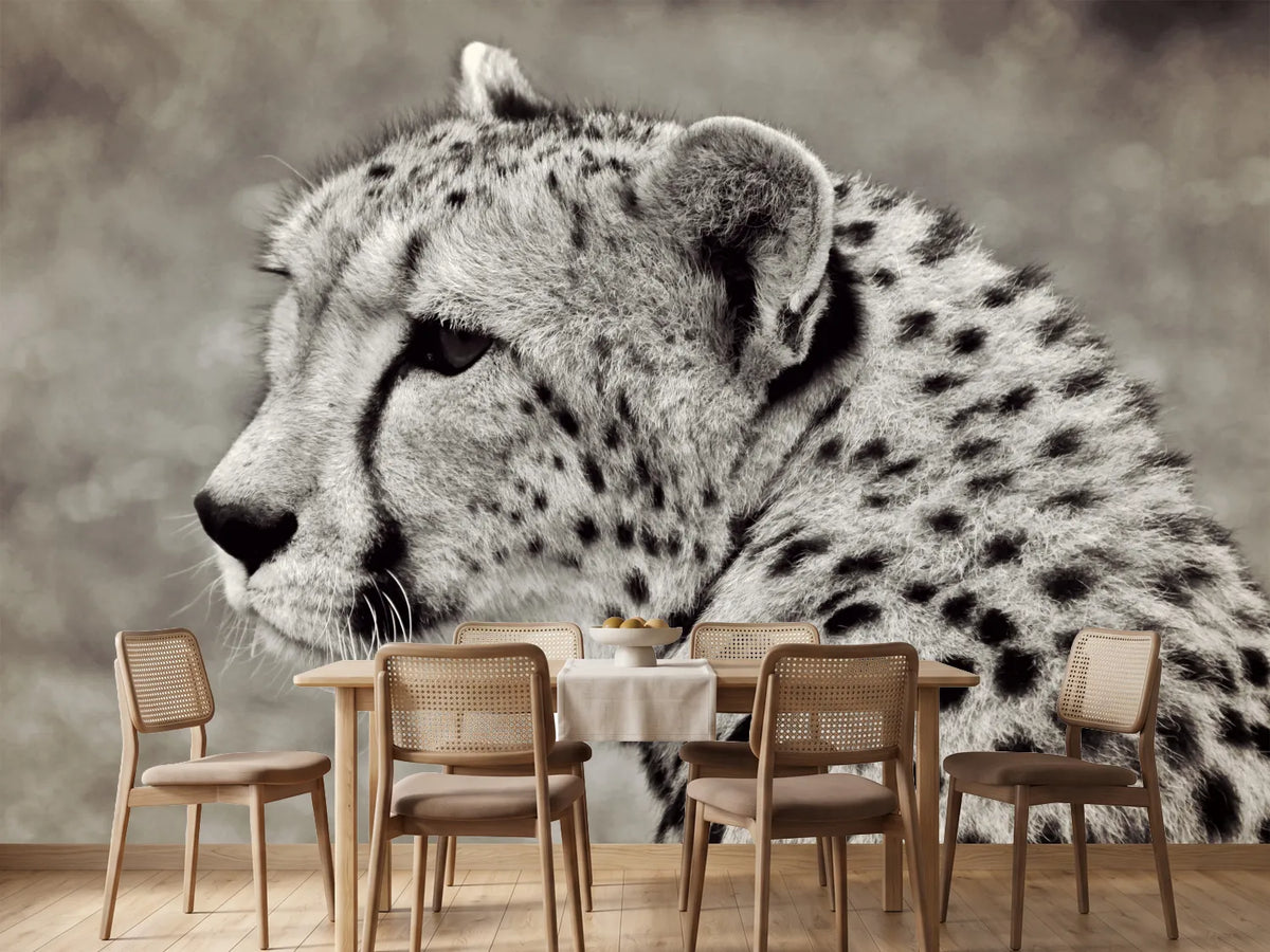 photo-wallpaper-beautiful-cheetah