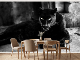 photo-wallpaper-large-black-panther