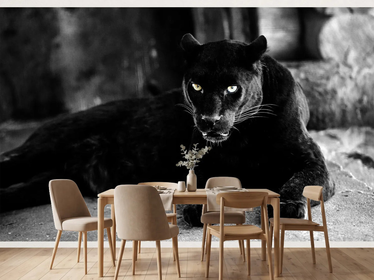photo-wallpaper-large-black-panther