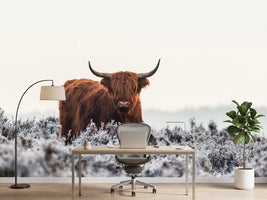 photo-wallpaper-highlander-x