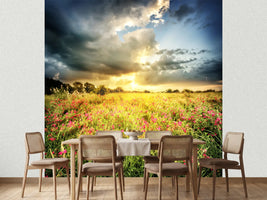 photo-wallpaper-flowers-landscape