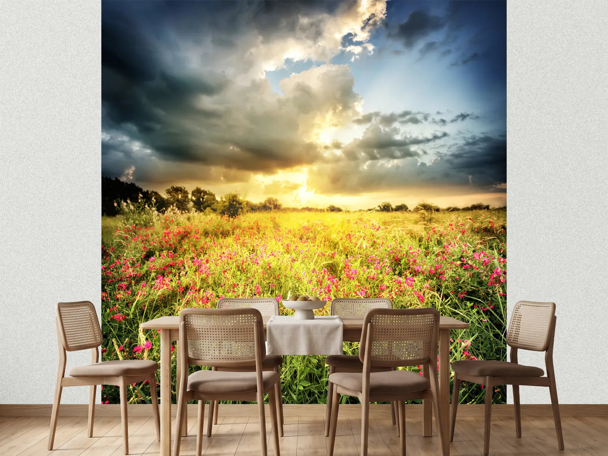 photo-wallpaper-flowers-landscape
