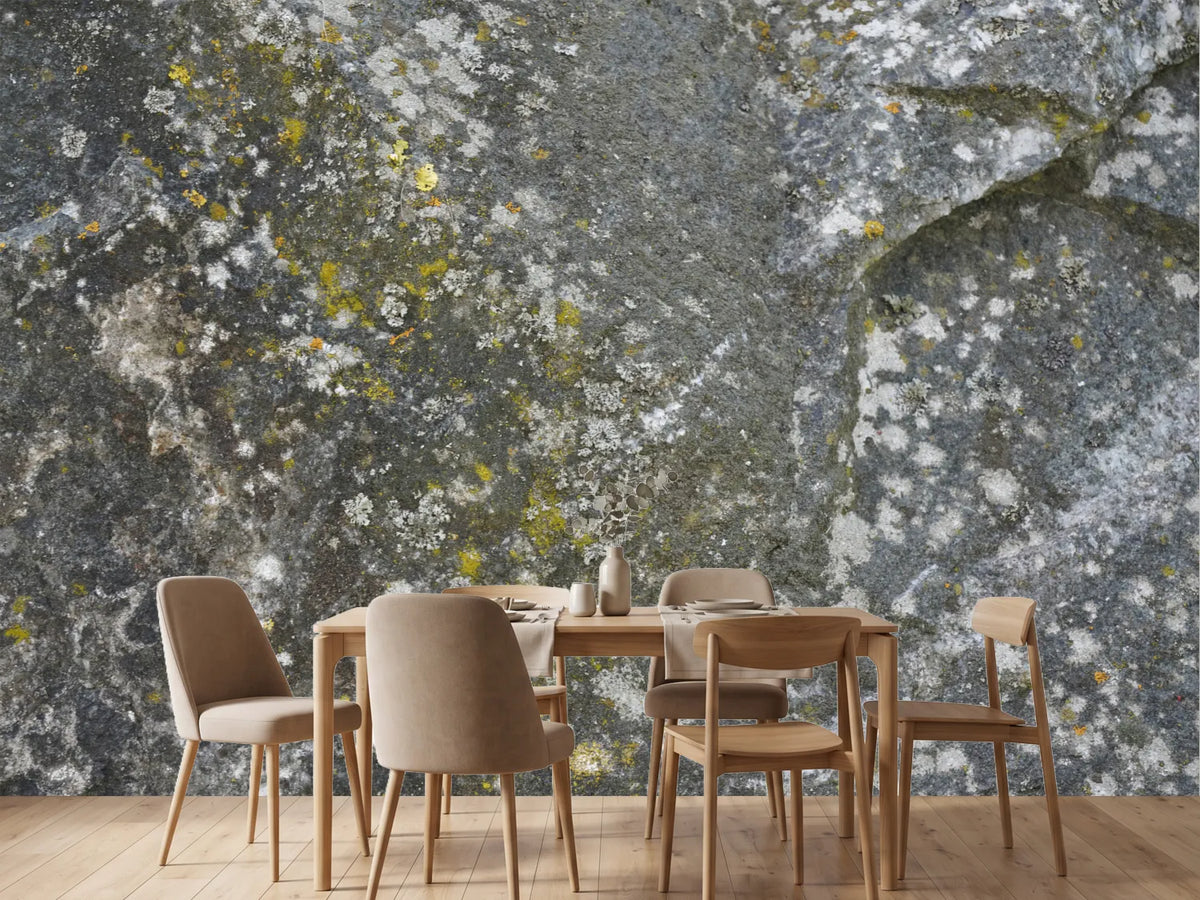 photo-wallpaper-lichen-covered-rock-texture