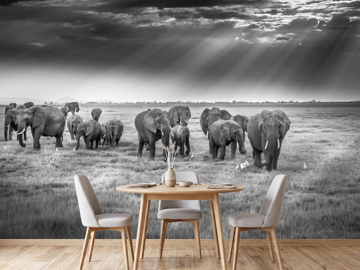 photo-wallpaper-breakfast-with-pachyderms-x