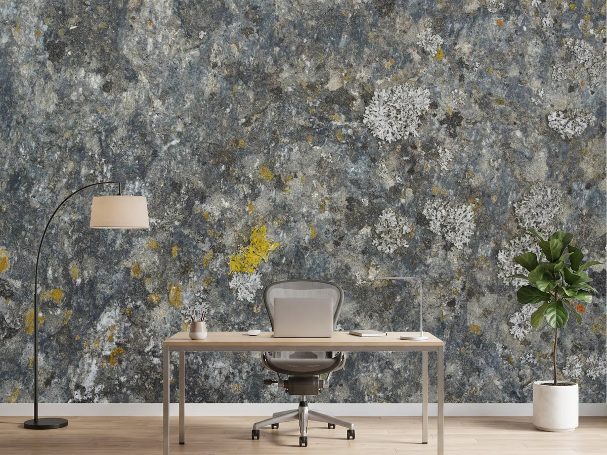 photo-wallpaper-weathered-stone-lichen