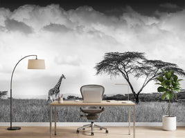 photo-wallpaper-and-i-dreamed-of-africa-x