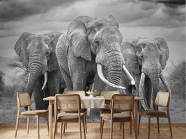 photo-wallpaper-three-majestic-elephants