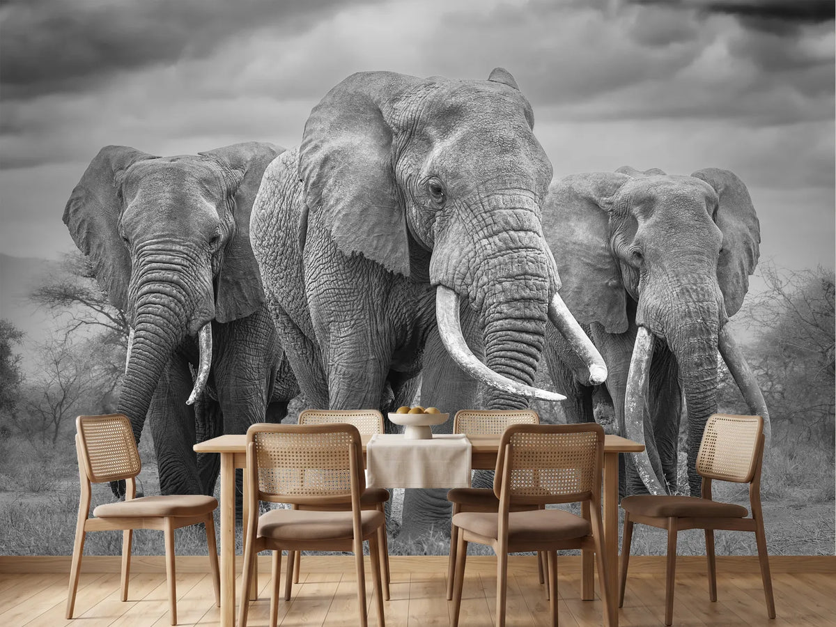 photo-wallpaper-three-majestic-elephants