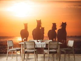photo-wallpaper-camargue-angels-x