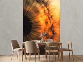 photo-wallpaper-sunset-x