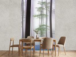 photo-wallpaper-foggy-forest-x