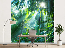 photo-wallpaper-in-tropical-forest