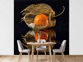 photo-wallpaper-physalis
