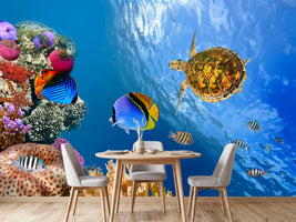 photo-wallpaper-fish-in-the-water