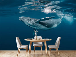 photo-wallpaper-a-baby-humpback-whale-plays-near-the-surface-in-blue-water