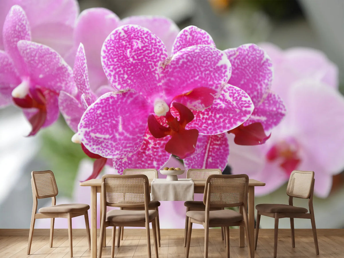 photo-wallpaper-purple-orchids-in-bloom