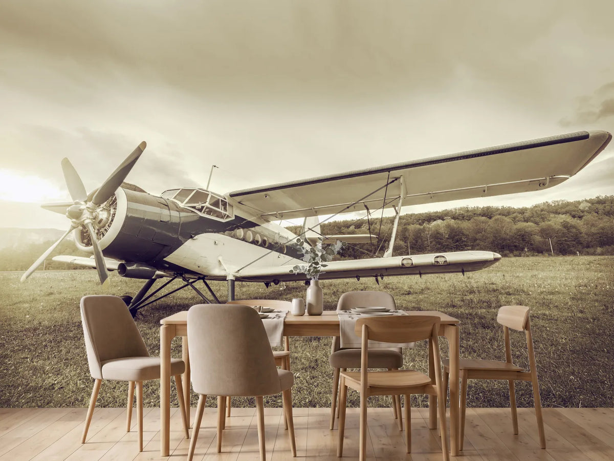 photo-wallpaper-nostalgic-aircraft-in-retro-style