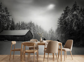 photo-wallpaper-untitled-xpe