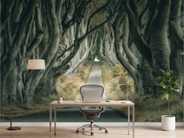 photo-wallpaper-enchanted-tree-tunnel