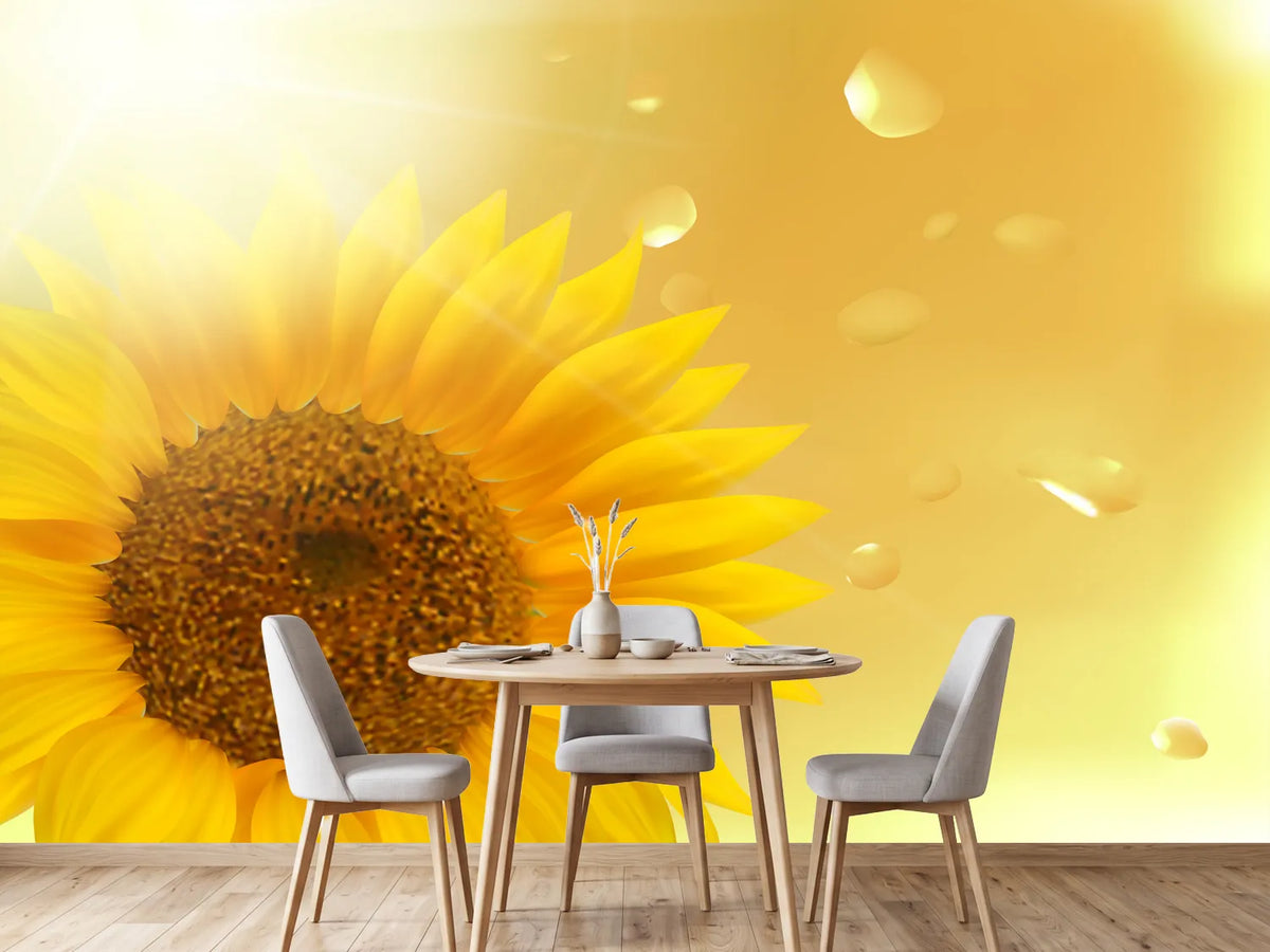 photo-wallpaper-sunflower-in-morning-dew