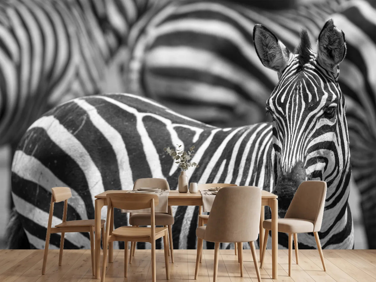 photo-wallpaper-stripes-x