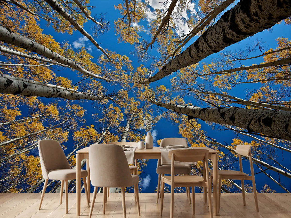 photo-wallpaper-aspen-s-fall-x