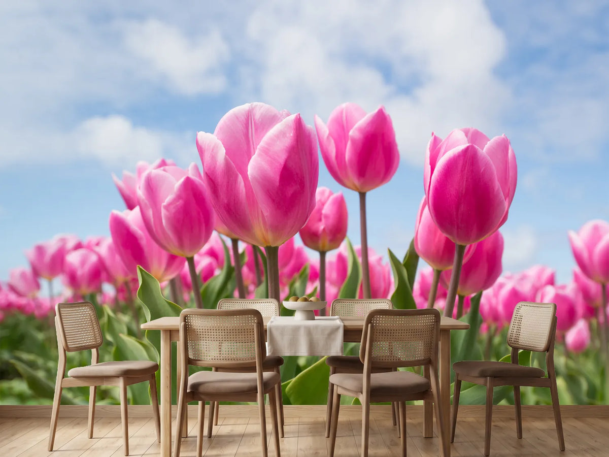photo-wallpaper-tulip-field-in-pink