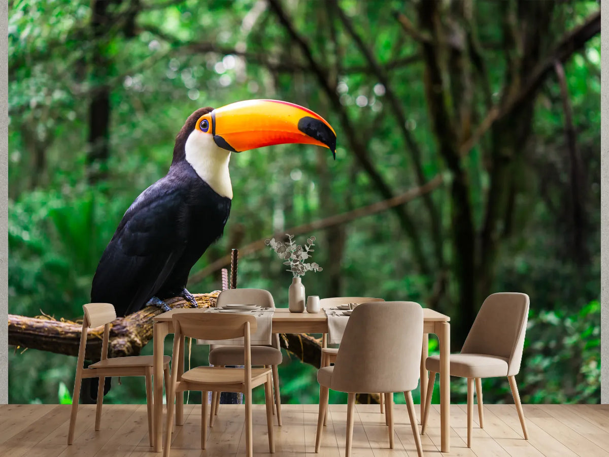 photo-wallpaper-toucan-with-glowing-orange-bill-on-a-branch-in-lush-rainforest