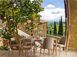 photo-wallpaper-roses-at-balcony-in-san-gimignano-tuscany-landscape-background